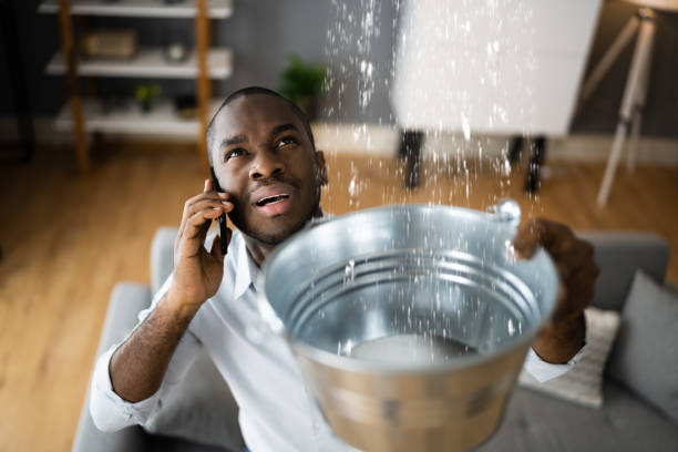 Best Water damage restoration near me  in Mililani Town, HI