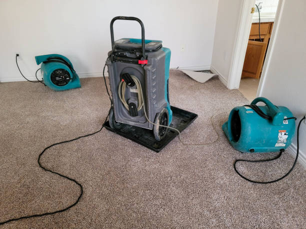 Best Carpet water damage restoration  in Mililani Town, HI