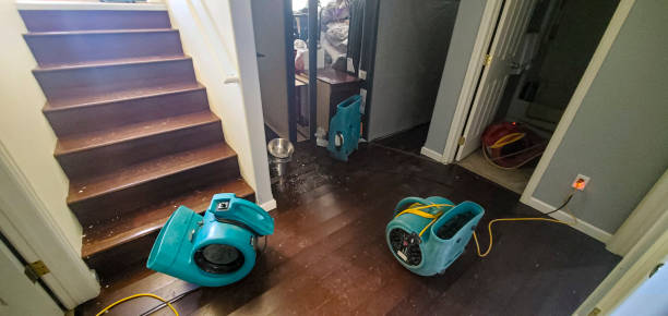 Best Commercial water damage restoration  in Mililani Town, HI