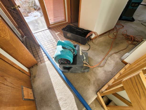 Best Water damage mitigation services  in Mililani Town, HI