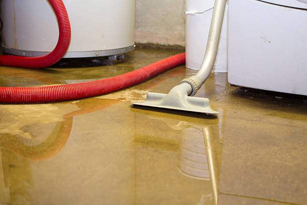 Best 24/7 water damage repair  in Mililani Town, HI