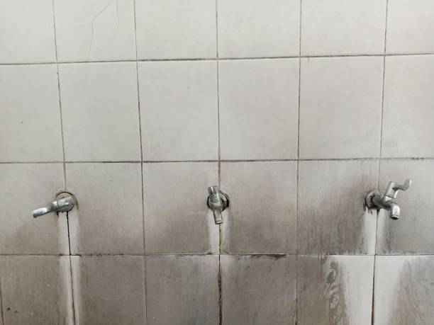Best Residential water damage restoration  in Mililani Town, HI